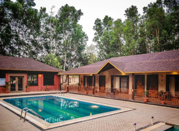 Dew Drops Jungle Stay