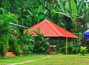 Kali vanashree Dandeli